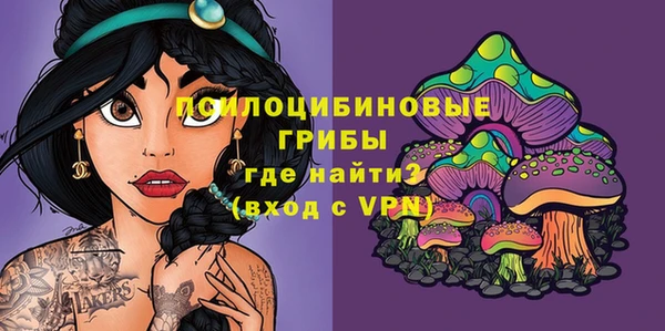 jwh Верхний Тагил
