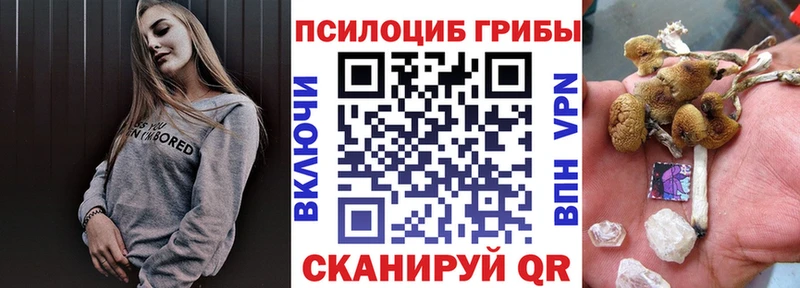 наркота  Новомосковск  даркнет состав  Галлюциногенные грибы Cubensis 